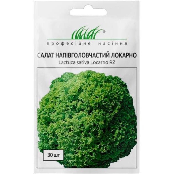 Насіння салату Локарно /30 насінин/ *Професійне насіння*