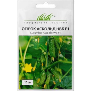 Огурец Аскольд F1 /10 семян/ *Профессиональные семена