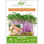 Микрозелень (микрогрин) Капуста кольраби фиолетовая /10 г/ *Профессиональные семена*