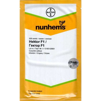 Огурец Гектор F1 /500 семян/ *Nunhems Zaden*