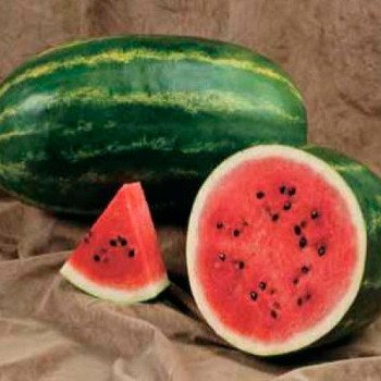 Арбуз Селебрейшн F1 /1.000 семян/ *Syngenta*