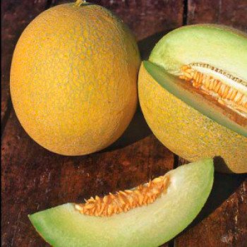 Дыня Примал F1 /500 семян/ *Syngenta*