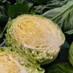 Капуста белокочанная Джетодор F1 /2.500 семян (FarMore)/ *Syngenta*