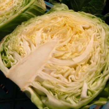 Капуста белокочанная Веронор F1 /2.500 семян/ *Syngenta*