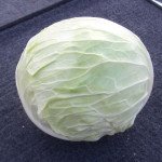 Капуста белокочанная Девотор F1 /2.500 семян/ *Syngenta*