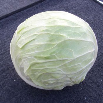 Капуста белокочанная Девотор F1 /2.500 семян/ *Syngenta*