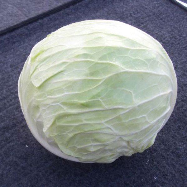 Семена капусты белокочанной Девотор F1 /2.500 семян/ *Syngenta*