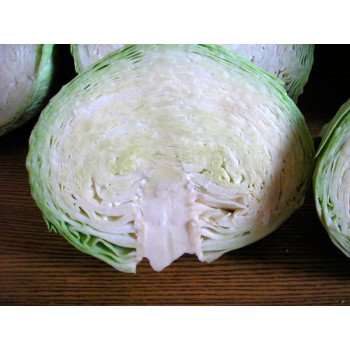 Капуста белокочанная Либератор F1 /2.500 семян/ *Syngenta*