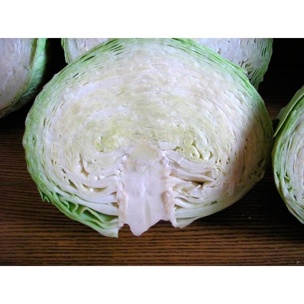 Насіння капусти білоголової Лібератор F1 /2.500 насінин/ *Syngenta*