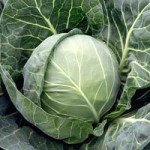 Капуста білоголова Болікор F1 /2.500 насінин/ *Syngenta*