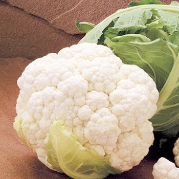 Капуста цветная Кортес F1 /2.500 семян/ *Syngenta*