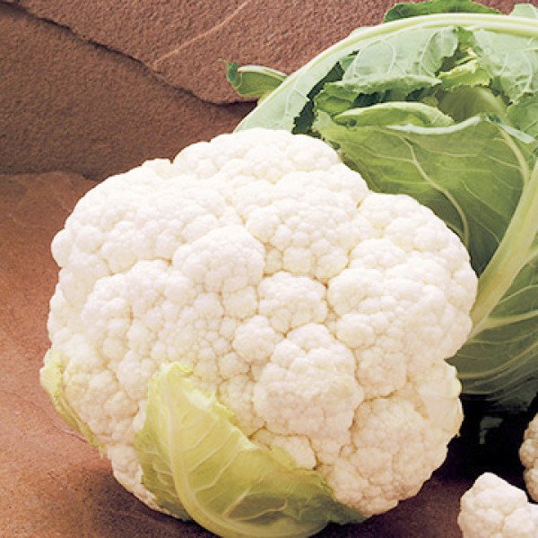 Насіння капусти цвітної Кортес F1 /2.500 насінин/ *Syngenta*