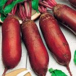 Свекла Фороно /50.000 семян/ *Syngenta*