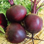 Буряк Болтарді /100.000 насінин/ *Syngenta*