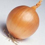 Цибуля Темптейшн F1 /250.000 насінин/ *Syngenta*