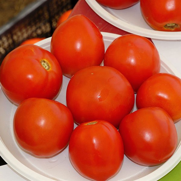 Семена томата GS 12 F1 /2.500 семян/ *Syngenta*