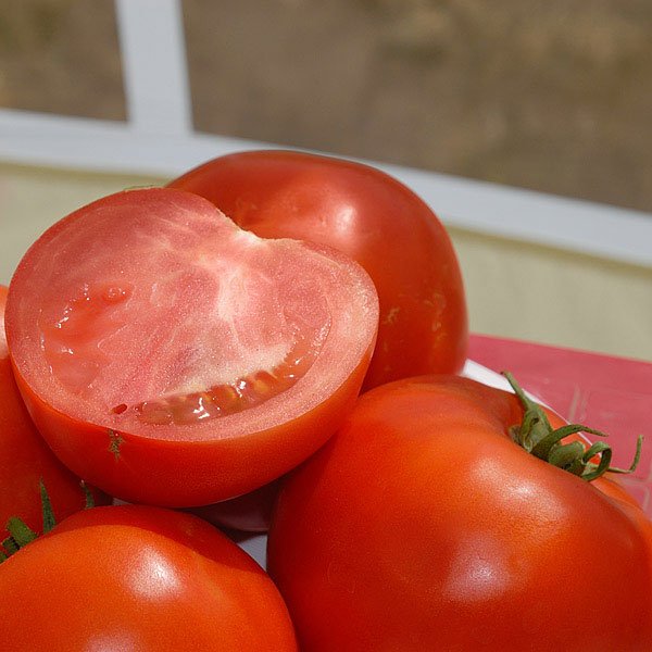 Семена томата Бобкат F1 /2.500 семян/ *Syngenta*