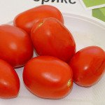 Томат Астерікс F1 /25.000 (драже)/ *Syngenta*