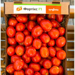Томат Фортікс F1 /5.000 насінин/ *Syngenta*
