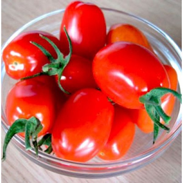 Семена томата Сафаикс F1 /2.500 семян/ *Syngenta*