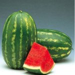 Кавун Фарао F1 /1.000 насінин/ *Syngenta*