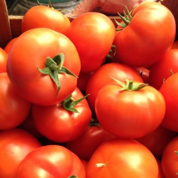 Томат Бостина F1 /500 семян/ *Syngenta*