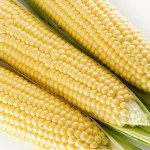 Кукуруза сахарная Спирит F1 /100.000 семян/ *Syngenta*