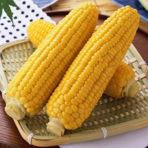 Насіння кукурудзи цукрової Джубілі F1 /100.000 насінин/ *Syngenta*