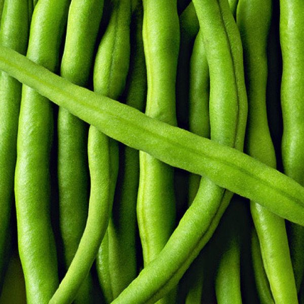 Насіння квасолі Серенгеті /100.000 насінин/ *Syngenta*