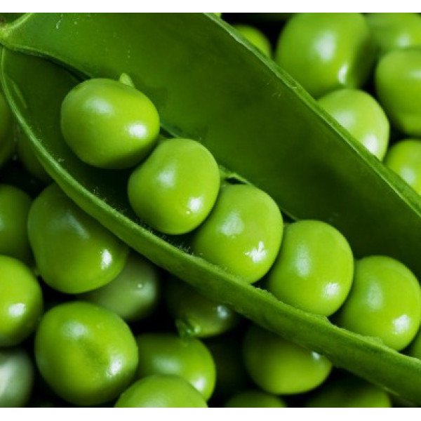 Семена гороха Вальверде /100.000 семян/ *Syngenta*