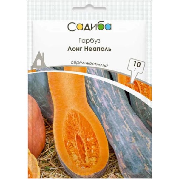 Насіння гарбуза Лонг Неаполь /10 г/ *Садиба*