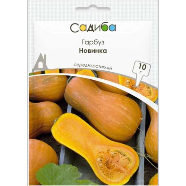 Семена тыквы Новинка /10 г/ *Садыба*