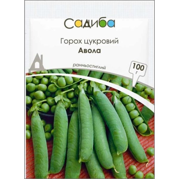 Семена гороха Авола /100 г/ *Садыба*