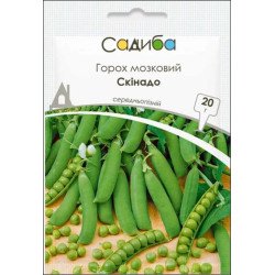 Горох Скинадо /20 г/ *Садыба*