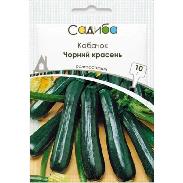 Насіння кабачка Чорний Красень /10 г/ *Садиба*