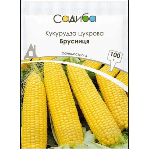 Насіння кукурудзи цукрової Брусниця /100 г/ *Садиба*