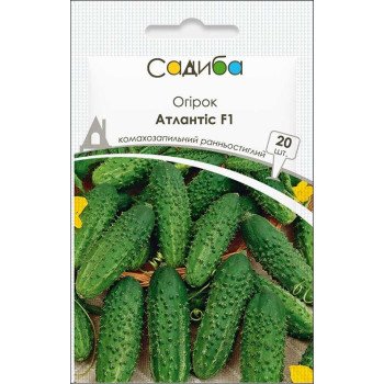 Огурец Атлантис F1 /50 семян/ *Садыба*
