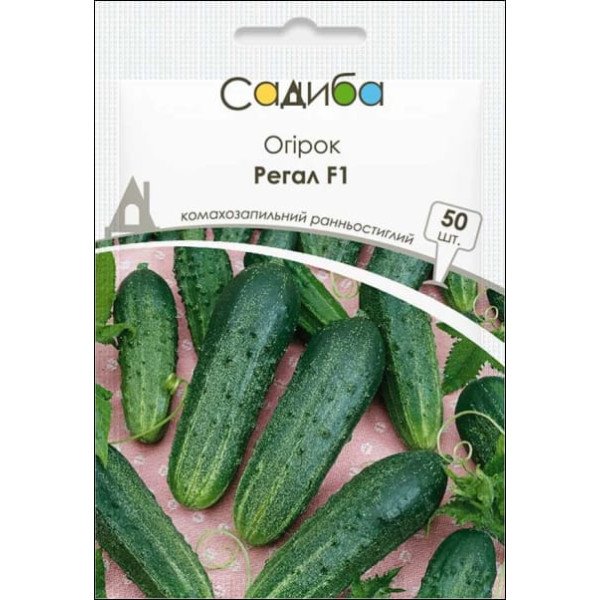 Семена огурца Регал F1 /50 семян/ *Садыба*