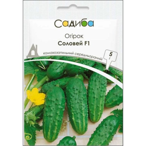 Семена огурца Соловей F1 /5 г/ *Садыба*