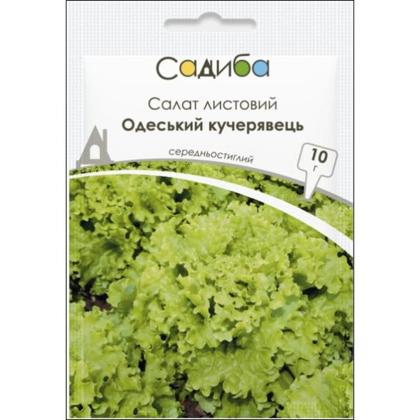 Семена салата Одесский кучерявец /10 г/ *Садыба*