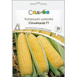 Кукурудза цукрова Сальвадор F1 /50 насінин/ *Садиба*