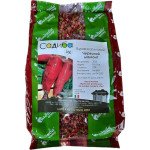 Свекла кормовая Красный мамонт /300 г/ *Садыба*