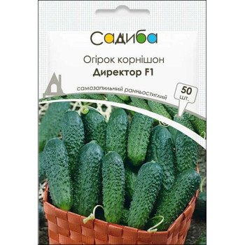 Огірок Директор F1 /50 насінин/ *Садиба*