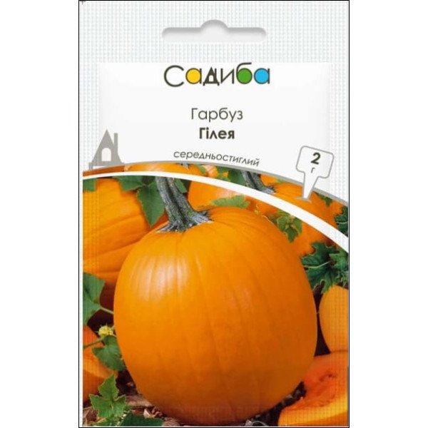Семена тыквы Гилея /2 г/ *Садыба*