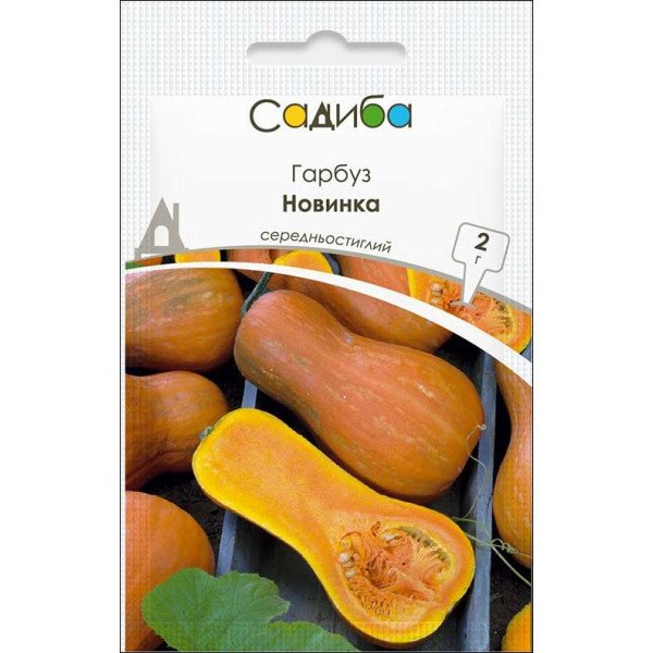 Семена тыквы Новинка /2 г/ *Садыба*