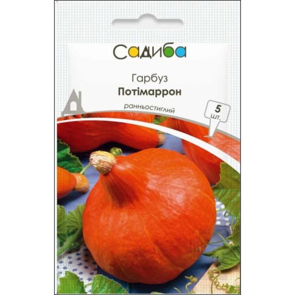 Семена тыквы Потимаррон /5 семян/ *Садыба*