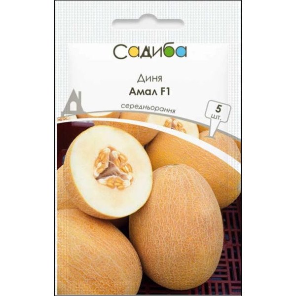 Семена дыни Амал F1 /5 семян/ *Садыба*
