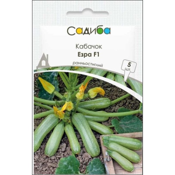 Семена кабачка Эзра F1 /5 семян/ *Садыба*