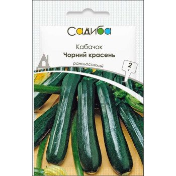 Кабачок Черный красавец /2 г/ *Садыба*
