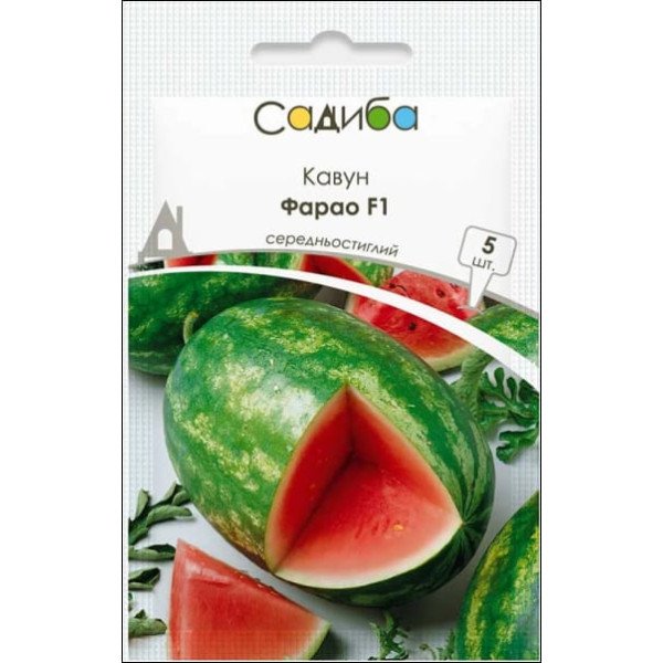 Семена арбуза Фарао F1 /5 семян/ *Садыба*